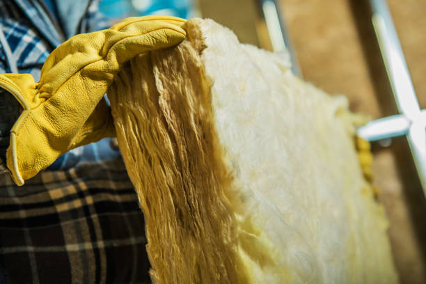 Best DIY Insulation Kits and Guidance in Mobile, AL