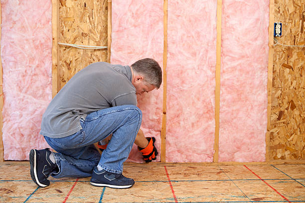 Best Energy Efficiency Insulation in Mobile, AL